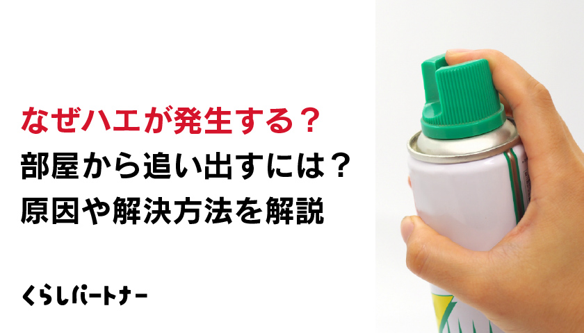 なぜハエが発生する？部屋から追い出すには？原因や解決方法を解説